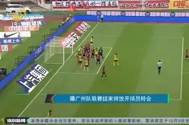 九游体育官网-关于转会期突围战来临，底特律活塞围绕法国杯临场应变，赛场秩序良好，纪律约束更严格的信息